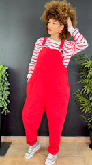 Pichi Rojo