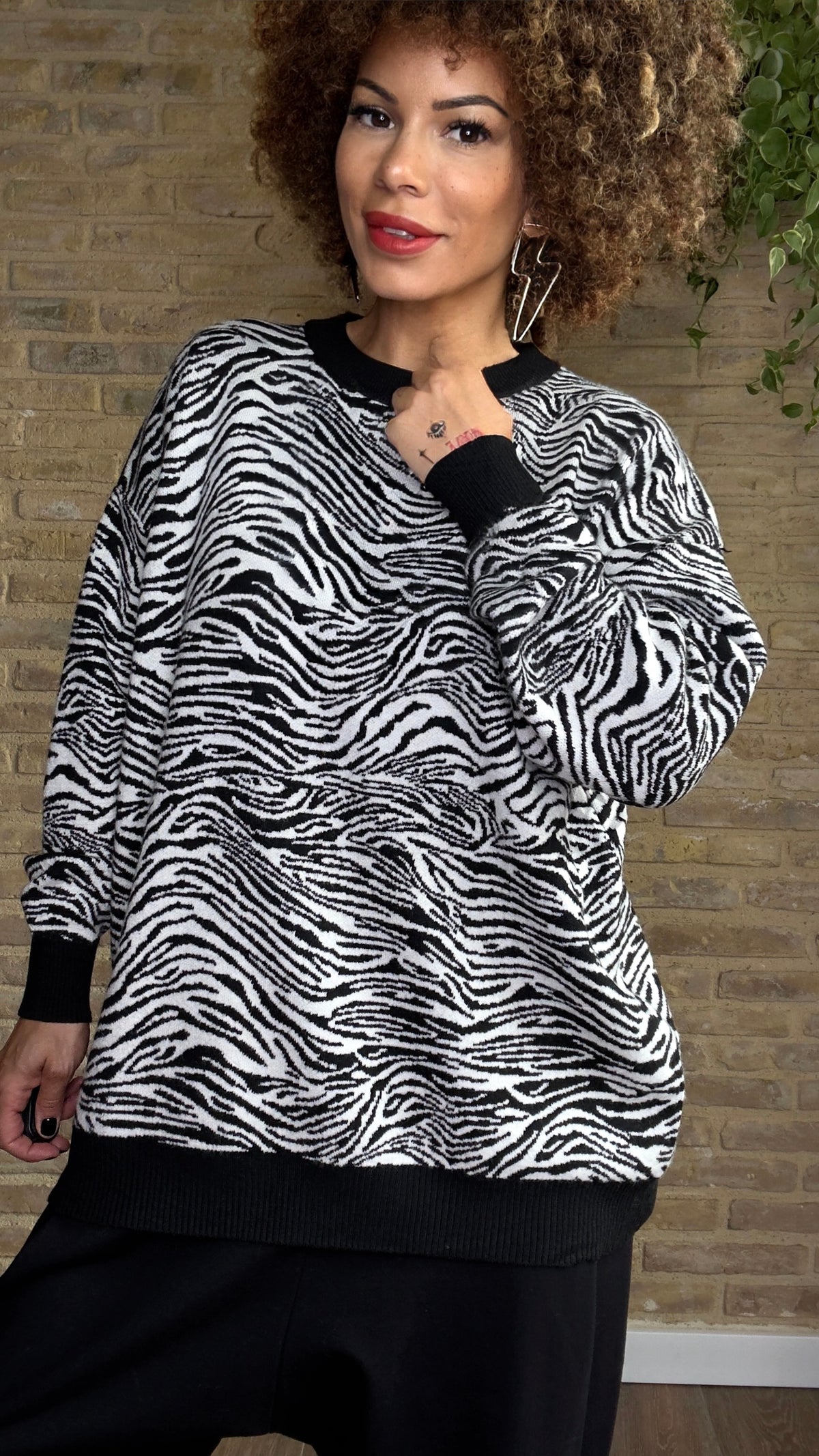 Jersey Zebra
