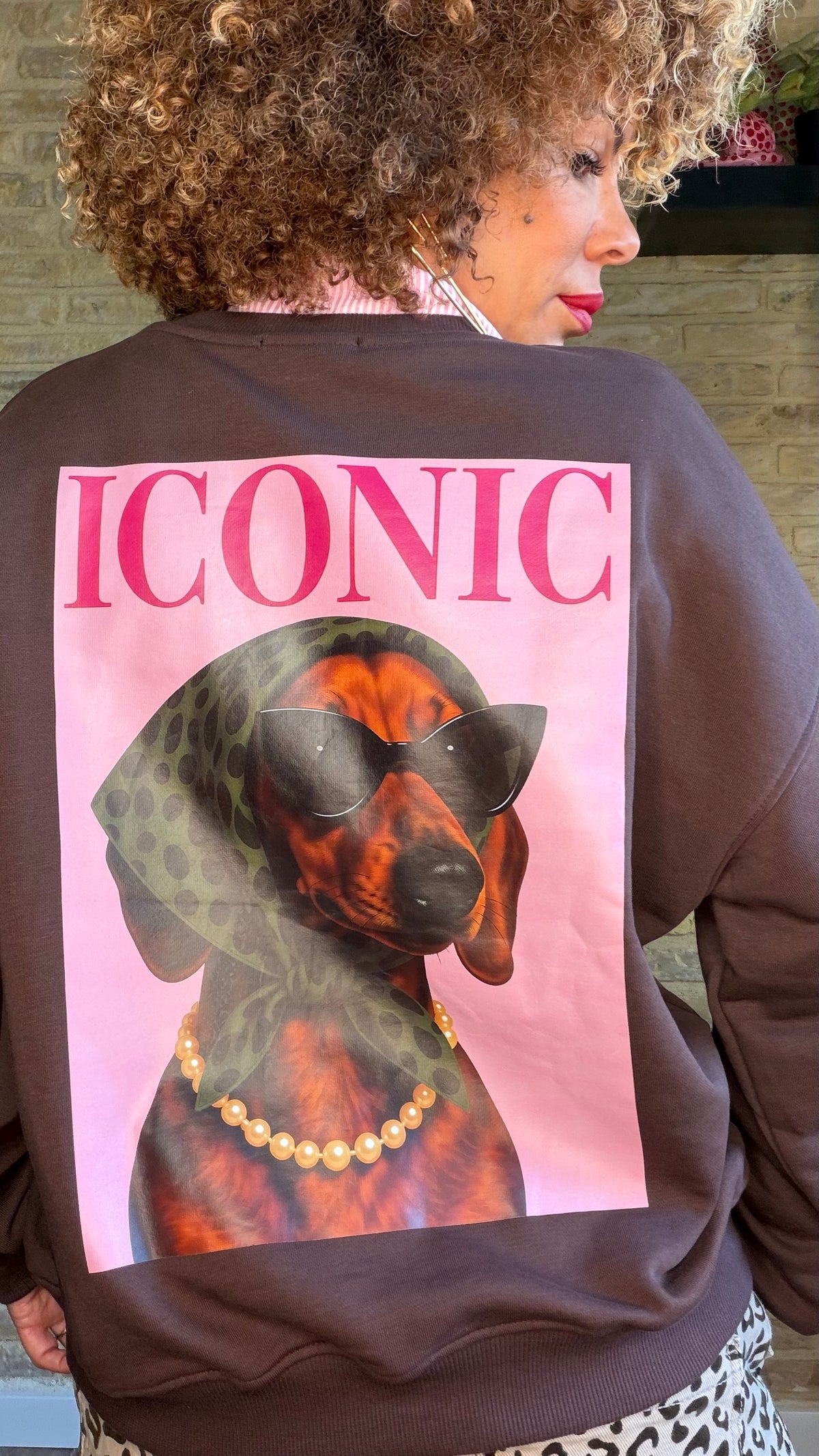 Sudadera Iconic Choco
