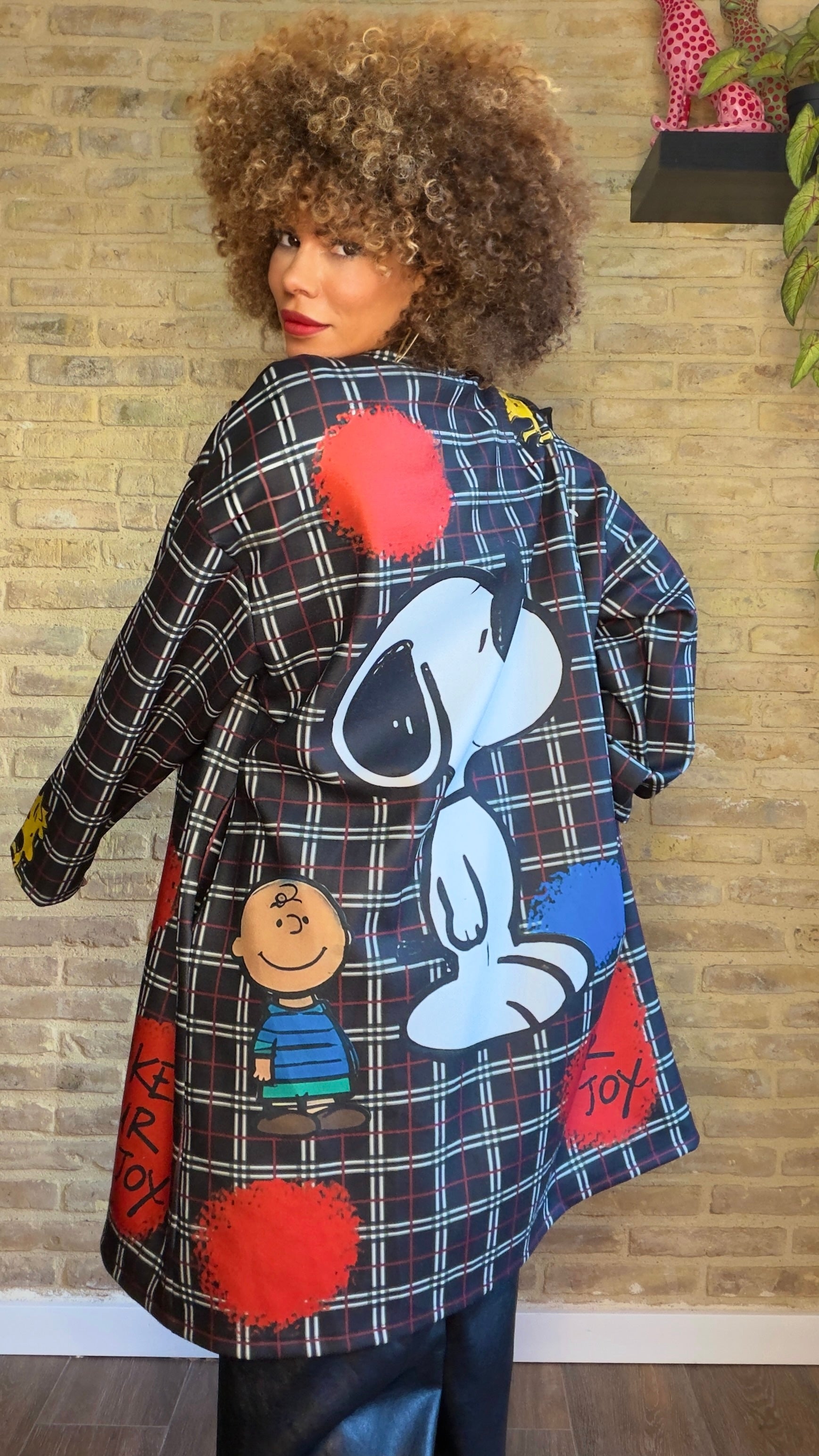 Abrigo Snoopy Cuadros