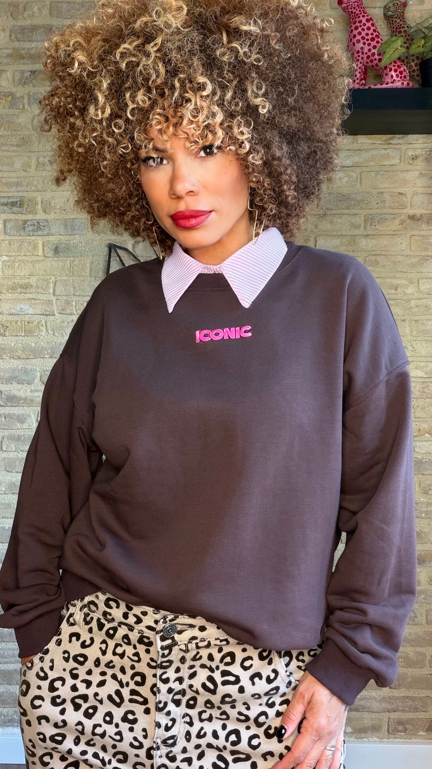 Sudadera Iconic Choco