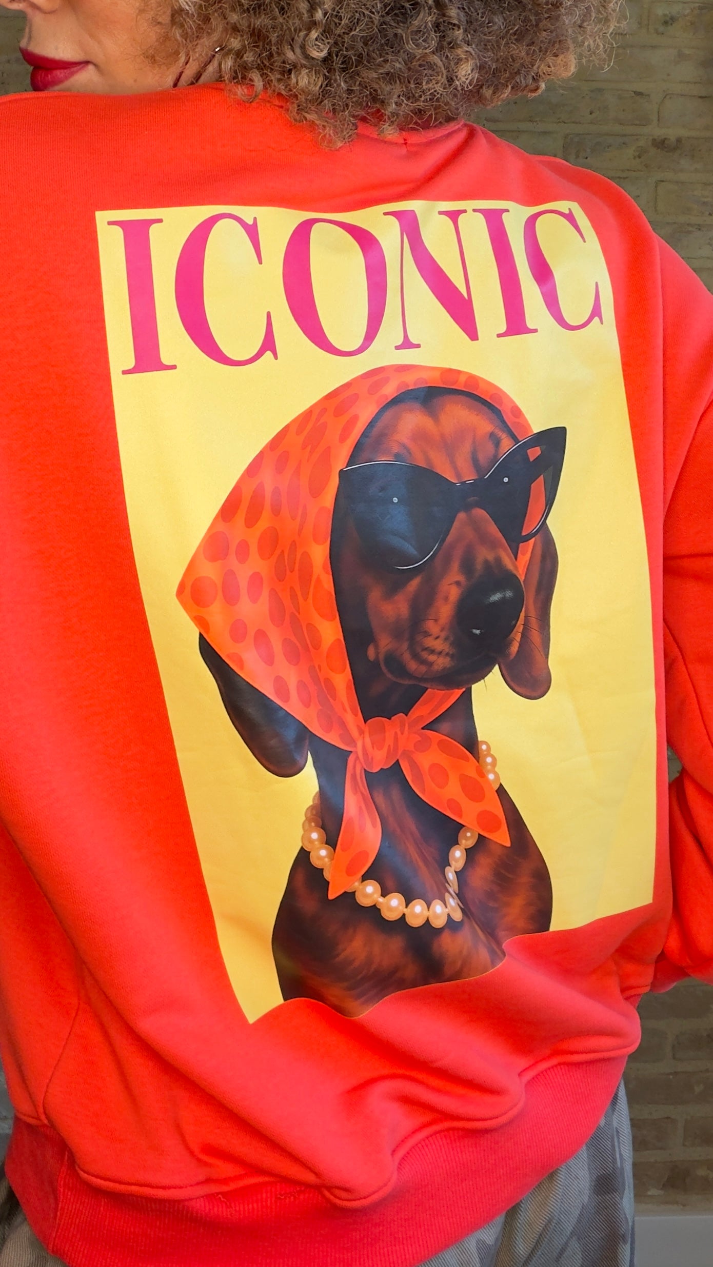 Sudadera ICONIC