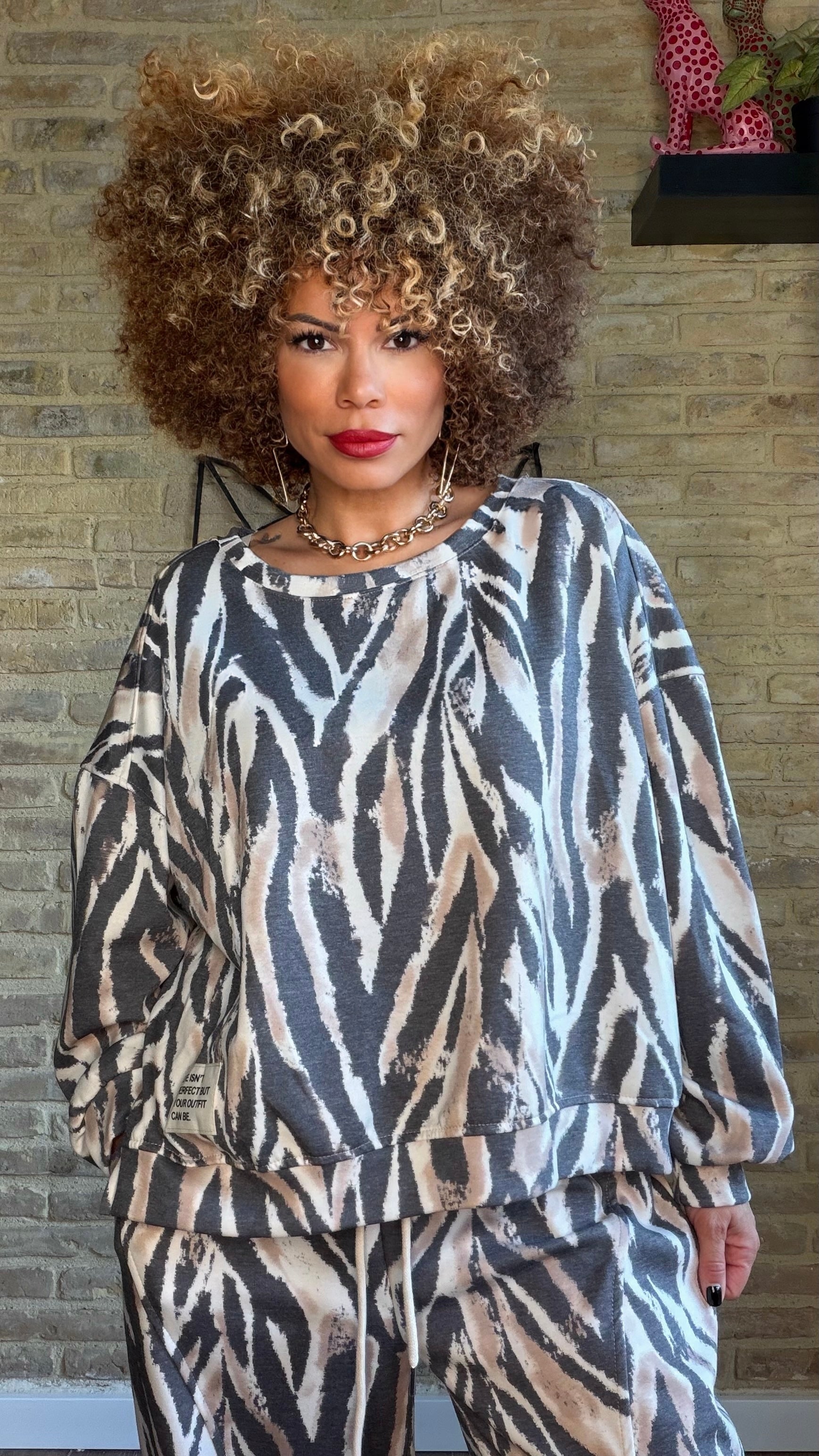 Sudadera Tigre Maxi