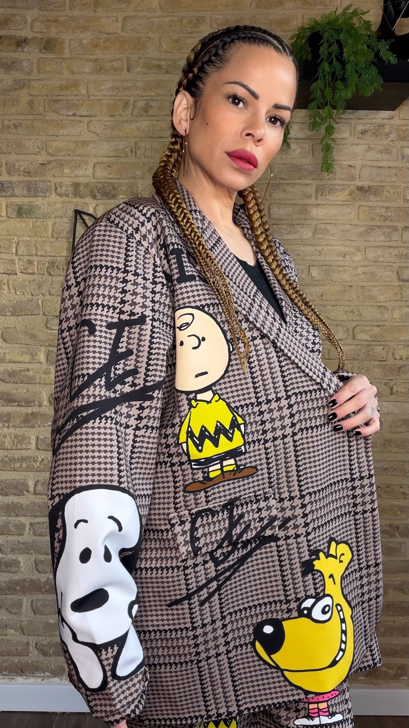 Americana Maxi Cuadro Snoopy