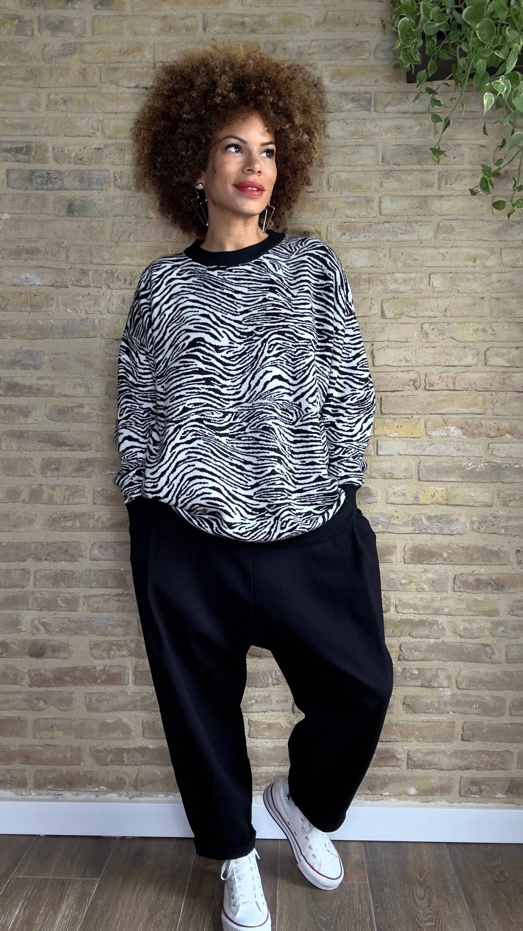 Jersey Zebra