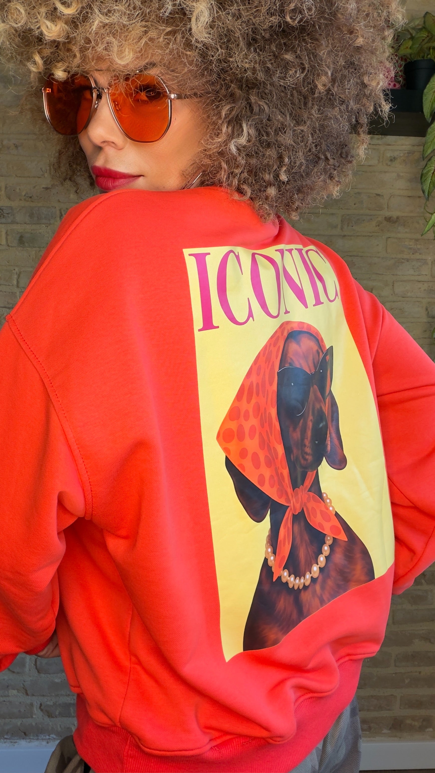 Sudadera ICONIC