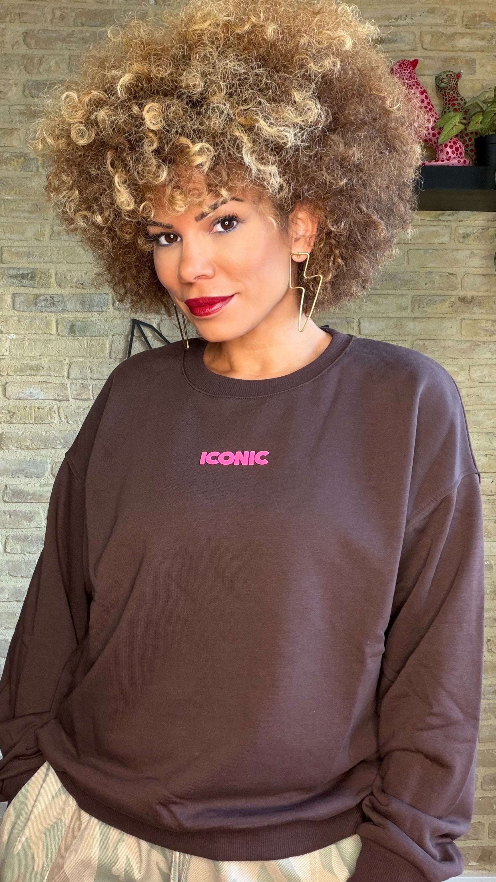 Sudadera Iconic Choco
