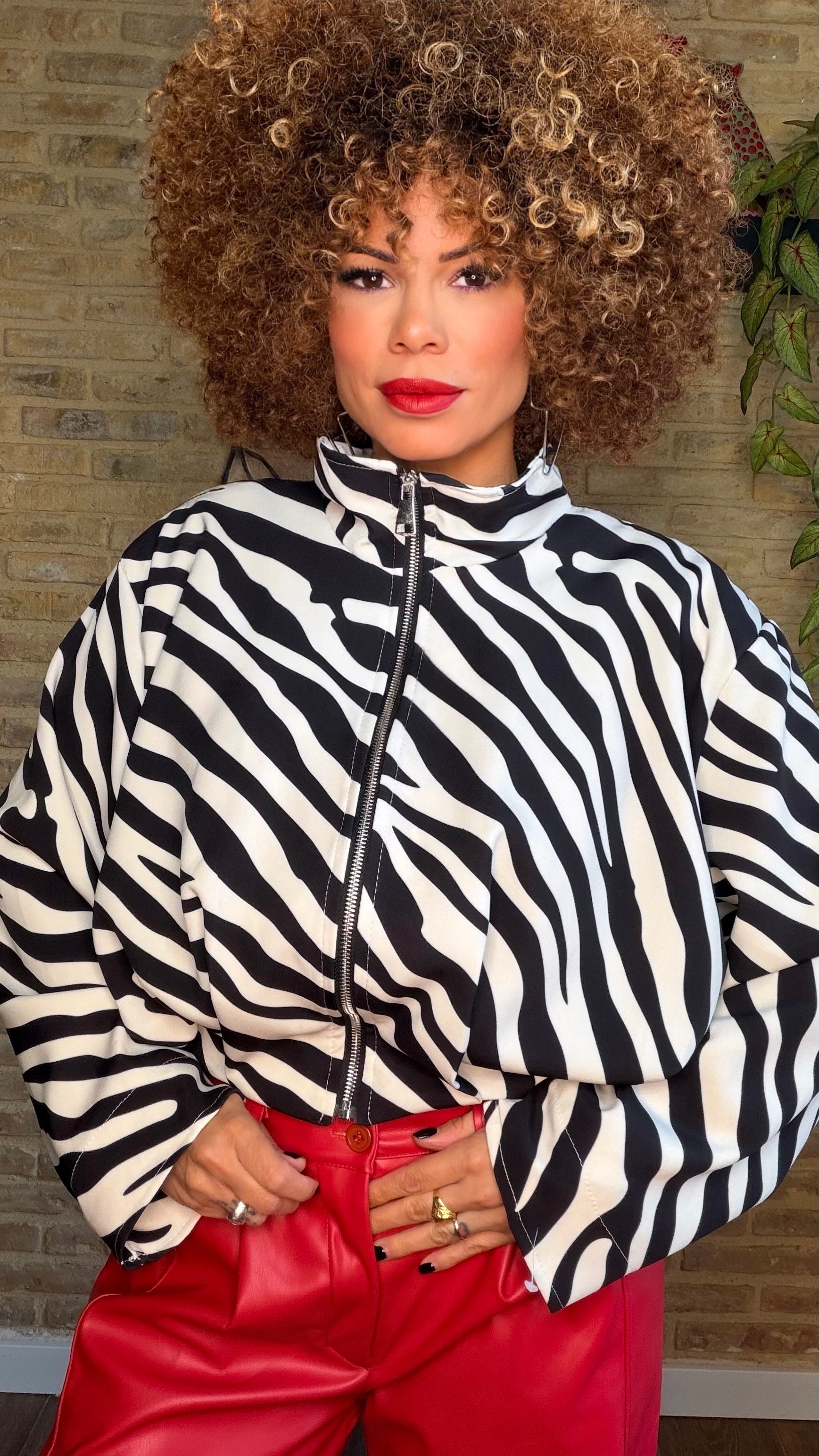 Bomber Zebra
