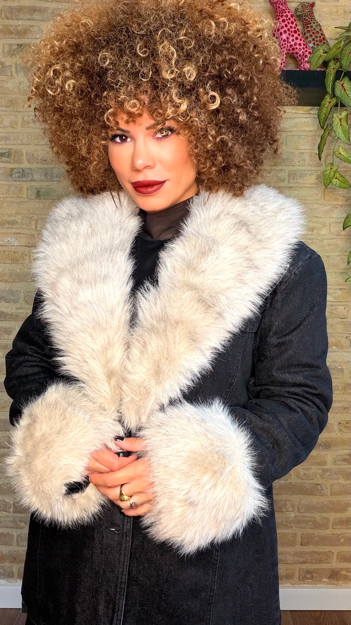Chaqueta Denim Pelo Oscura